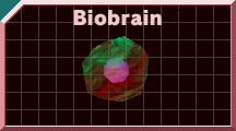 Biobrain